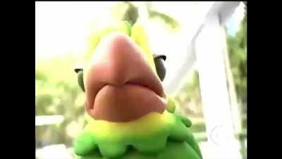 F Louro .................