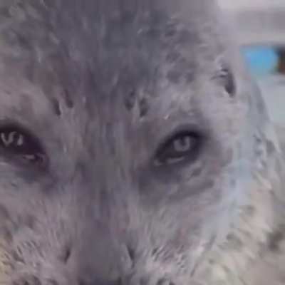 *teleports right in front of you* nothing personal, kid