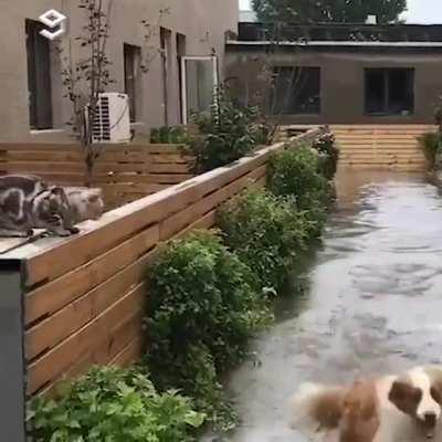 Бежать по воде, бежать по воде, бежать по воде со мной