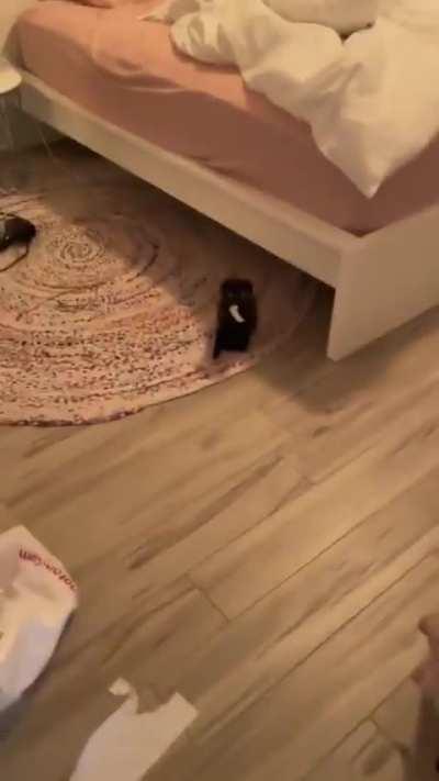 Место преступления