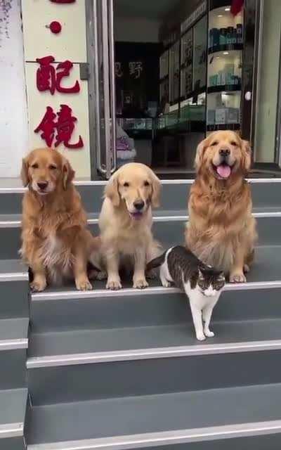 When your friends want you in the photo but you’re not interested…