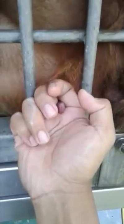 Ce se întâmplă când vrei să te porți frumos cu un rroditor