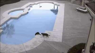 That's for last Friday, CARL.