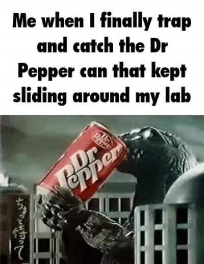 i can no longer live in fear