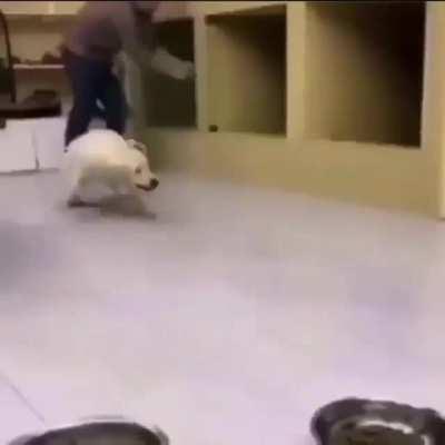 Mezuna kaldık lets fuckin goooo