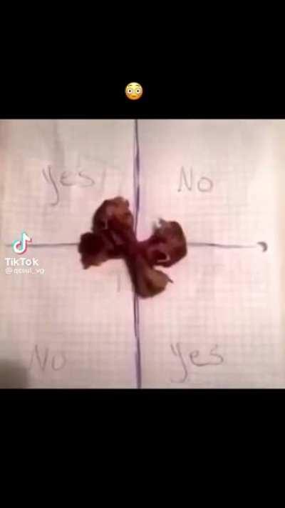 blursed_charlie charlie