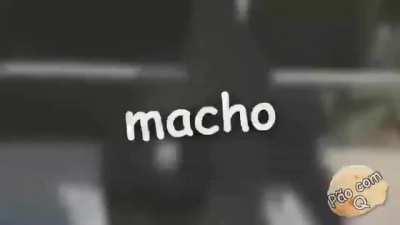 Macho