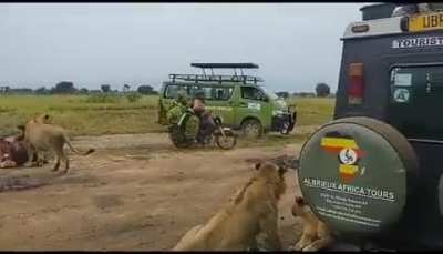 When you guarantee same day delivery and nothing can stop you...