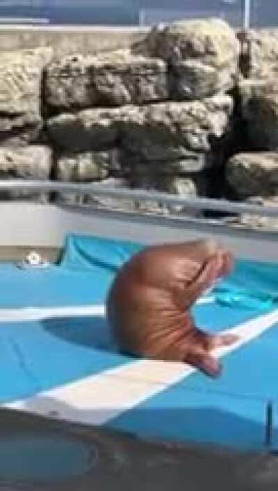 JJ after seeing Jake win