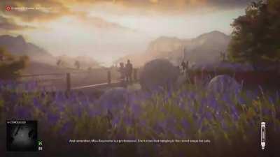 Miss Bayswater is a Professional