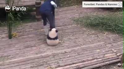 I love the when they mess with their keepers.