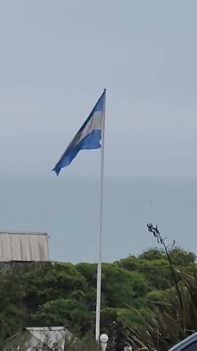 La emoción de un padre y su hijo al ver a las ballenas saltando 