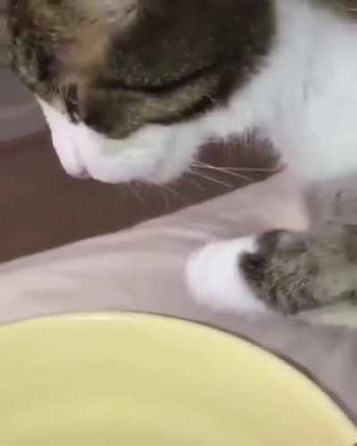 Was told you guys would like this