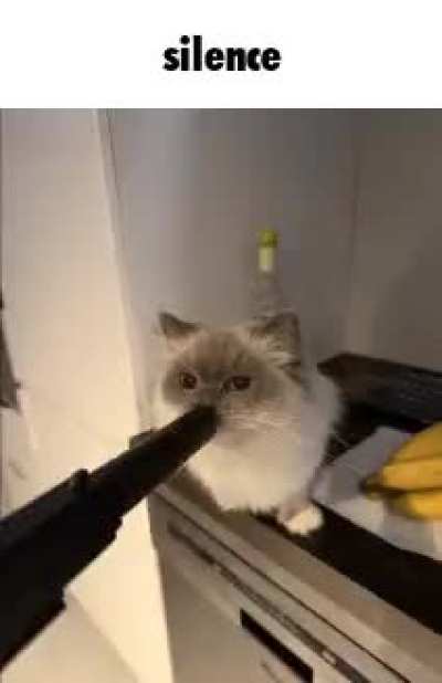 Silence