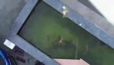 Starving Chinese citizens adapt to strict lockdowns. Become urban-hunters using drones to survive.