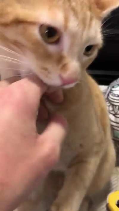 I feel like they’re mocking me