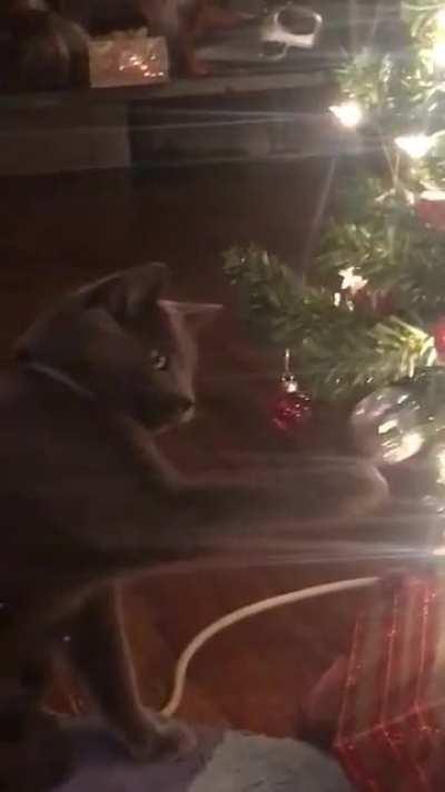 Must tap shiny object