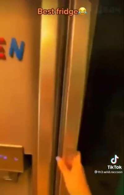 Best Fridge ever🪄