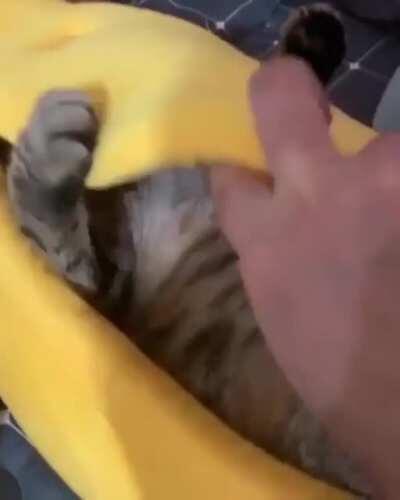 He really likes his new bed