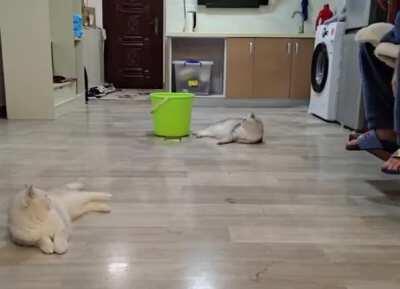 You have to careful with others..