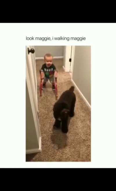 This kid showing his dog that he can walk