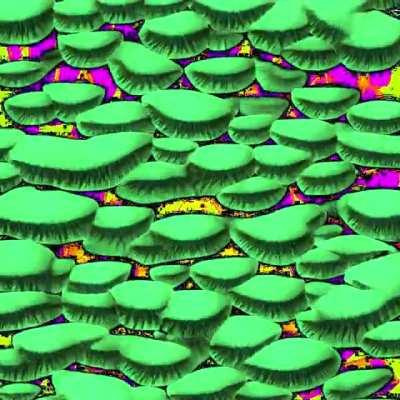 ☾ *✧. blinking eyes .✧*☽ stylegan2-ada interpolation // sound on