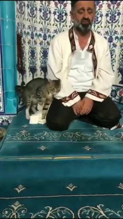 Imam and his cat