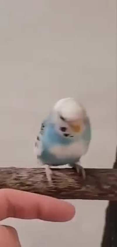 Got notification at the perfect moment lol (important audio)