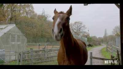 Reply with an 🍎and Roach will bring you a monster free new year