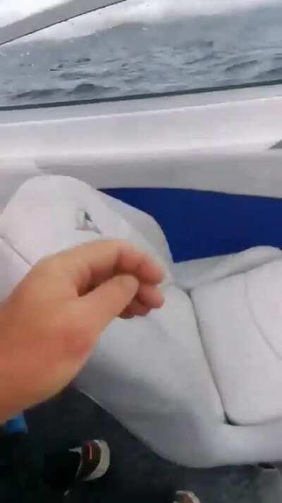 A reason why dark water is scary