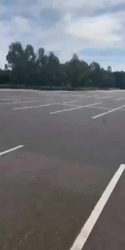 HMB while I show that money isn't everything