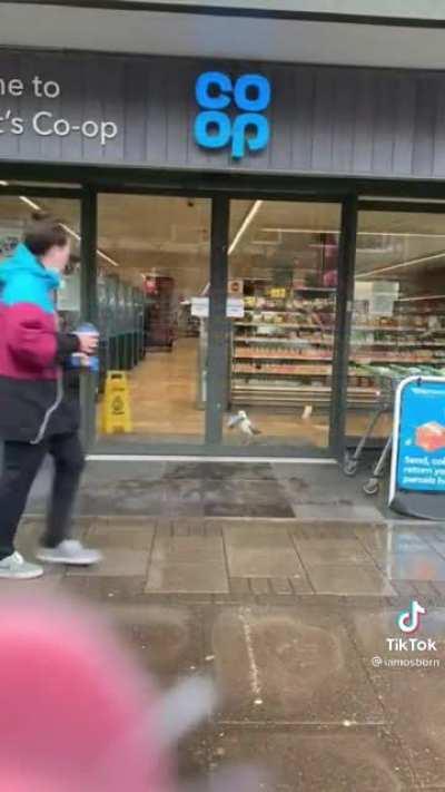 I’ll let this speak for itself