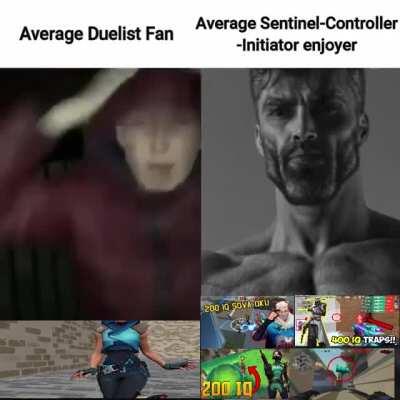 Average Fan Vs Enjoyer Valorant Players