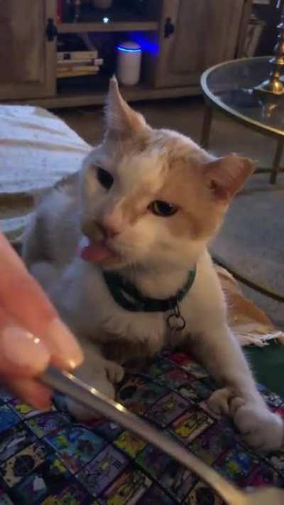 I think he likes cranberry sauce and potatoes . . . (He is 23, he can’t eat whatever he wants on his journey out :))