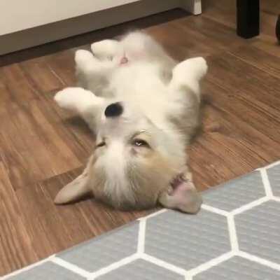 I'm So Tired Playing, Now Its My Nap Time