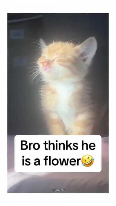 He is photosynthesizing 🤣