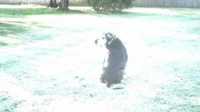 When you choose the wrong pokeball