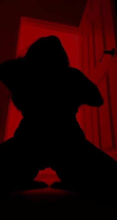 The Silhouette Challenge #17 (onlyonerhonda)