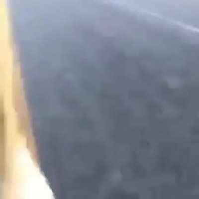 A yes. Let me through a alligator into the water