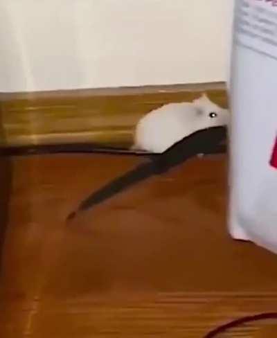 What happening here?