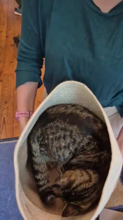 Evil woman turns wunk into a TOSSED SALAD!!!!!!!