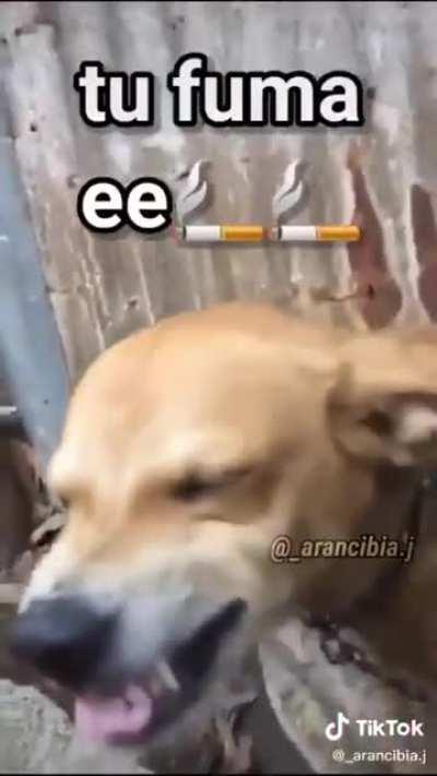 El viejo sanca 🤑🤑🤑🤙🤙