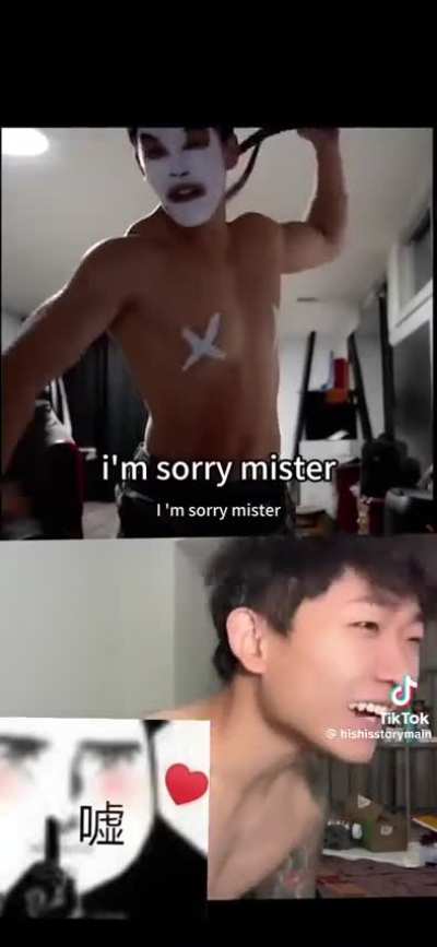 Two Little Dogs are so Cute