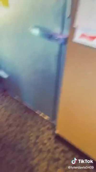 I&rsquo;m gonna shake it