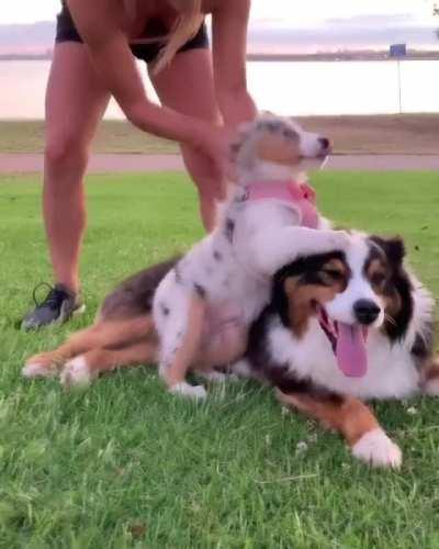 Oh We’re Taking Pictures?