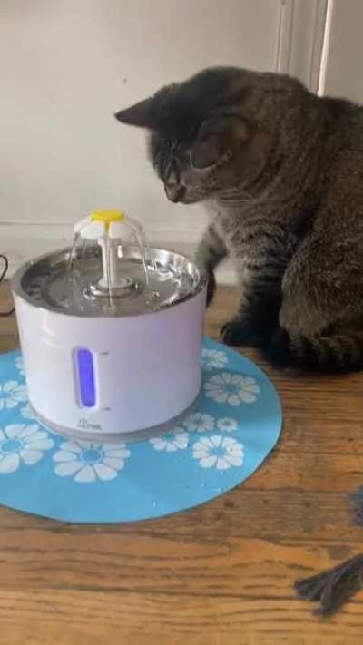 “Whats dis? Water?”