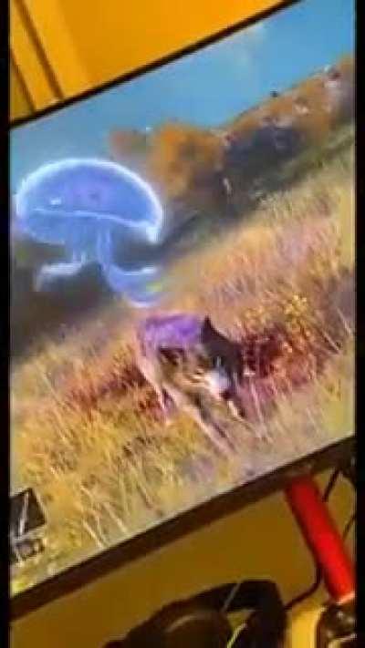 😏😛 UWU? 😛😏