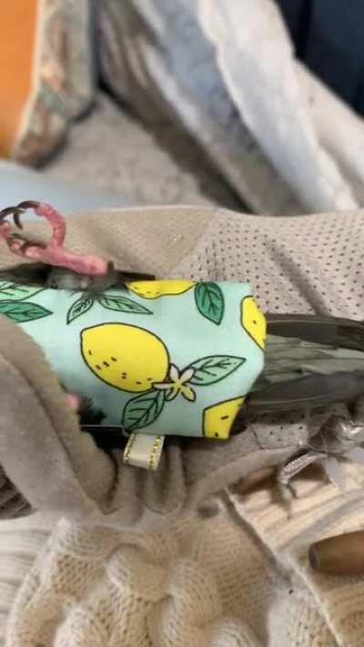 Since you like it, here’s the video.