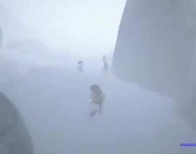 [Haiku] WE SHOULD BE SAFE HERE