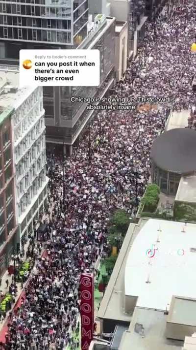 Over 20,000 people were estimated by Chicago PD to have shown up to today's No Kings Day Rally downtown. This is what it looked like from above Dearborn Street.